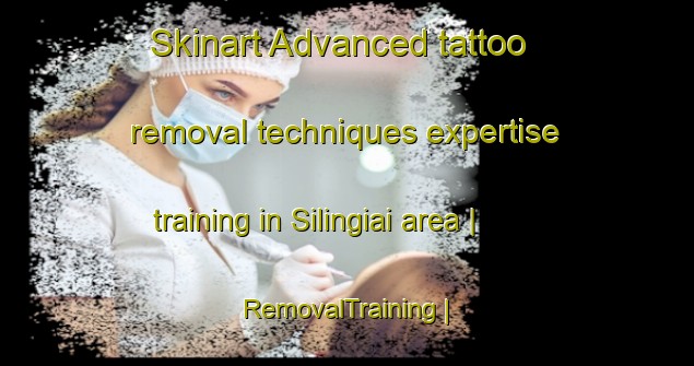 Skinart Advanced tattoo removal techniques expertise training in Silingiai area | RemovalTraining | RemovalClasses | SkinartTraining-Lithuania